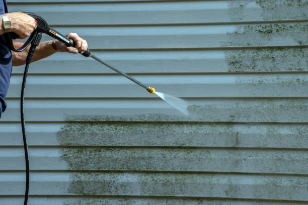 Best Gutter Cleaning  in Goodman, MO